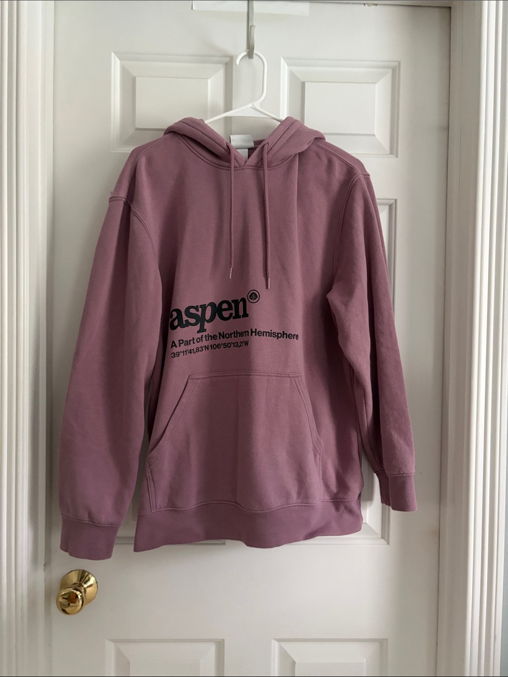 H&M Mauve  Hoodie with Aspen Logo